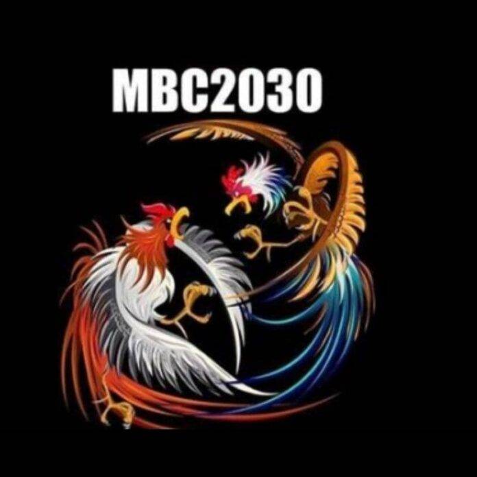 MBC2030-Games-Detailed-Information-You-Must-Know-800-×-800-px-min
