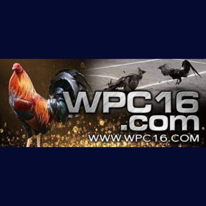 WPC16-Online-challenge-on-Cockfighting-Game-800-×-800-px-3-min