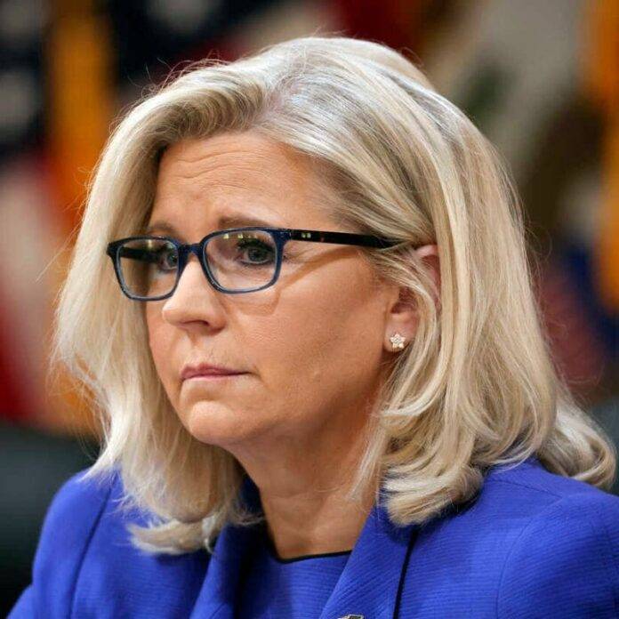 Liz Cheney Biography – Family, Husband, Age, Height, Weight, Net Worth, Wiki & More