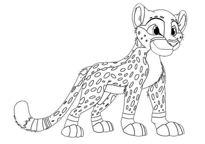 Cheetah coloring
